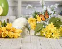 butterfly and yellow spring flowers 
