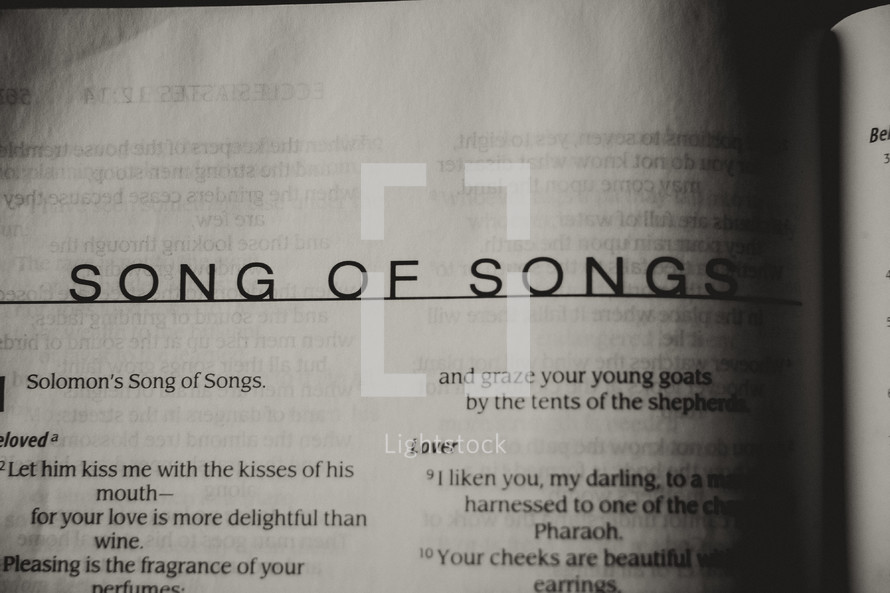 Open Bible in book of Songs