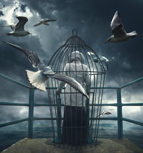 seagulls flying around a person in a bird cage 
