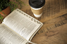 house plant, open Bible, and coffee cup 