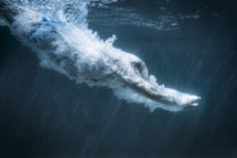 man diving under water 