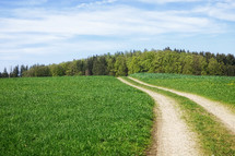 dirt road through a meadow in Bavaria 