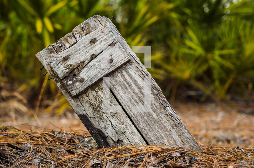 wooden post in nature 
