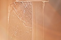 spider web between railings 