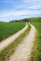 dirt road through a meadow in Bavaria 