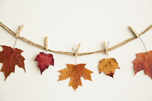 fall leaves on clothespins 