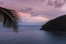 a palm frond and the Virgin Island coastline 