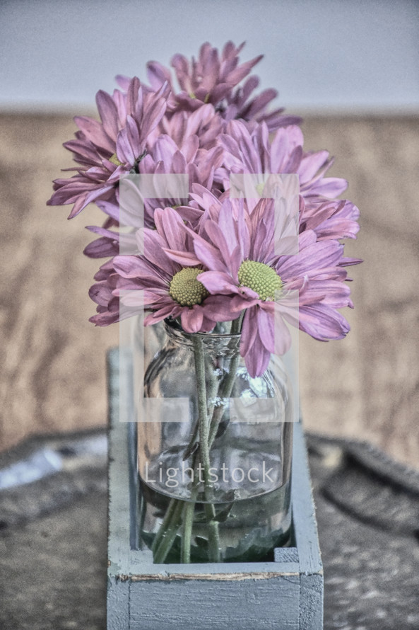 pink flowers in vases 