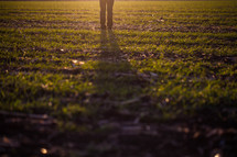 legs of a man standing in a field projecting a shadow