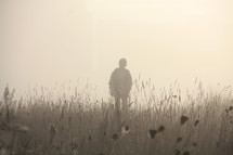 silhouette of a man walking through a field of tall grasses 