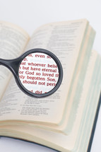Hand holding a magnifying glass on the page of a Bible open to John 3:16.