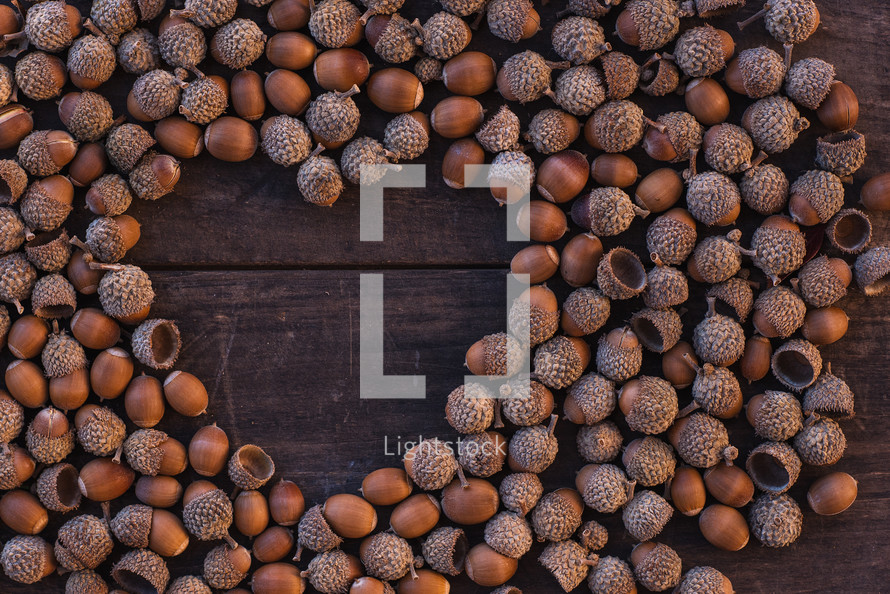 acorns on a wood background 