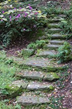 mossy garden steps 