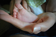 baby's foot in mother's hand 