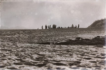 crowds on a beach 