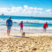 family walking their dog on a beach 