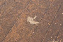 down feather on wood deck 