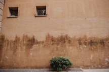 stained wall on the side of a building in Rome 