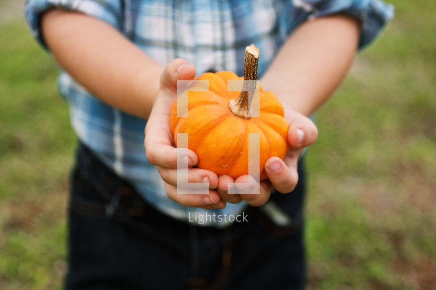 Boy holding a pumpkin