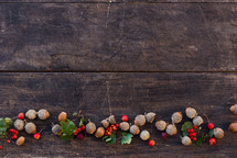 acorns and red berries on wood 