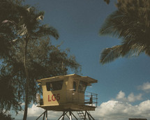 lifeguard stand and palm trees 