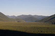 mountain forest landscape  