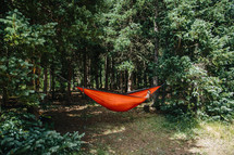 a hammock between trees in a forest 