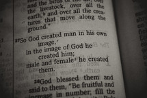 Genesis scripture verse close up