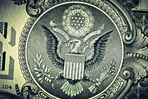 The Eagle on the back of a one dollar bill