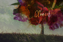 bloom where you are planted, in every season of life