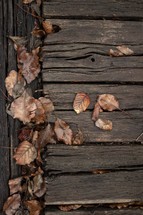 fall leaves on wooden boards 