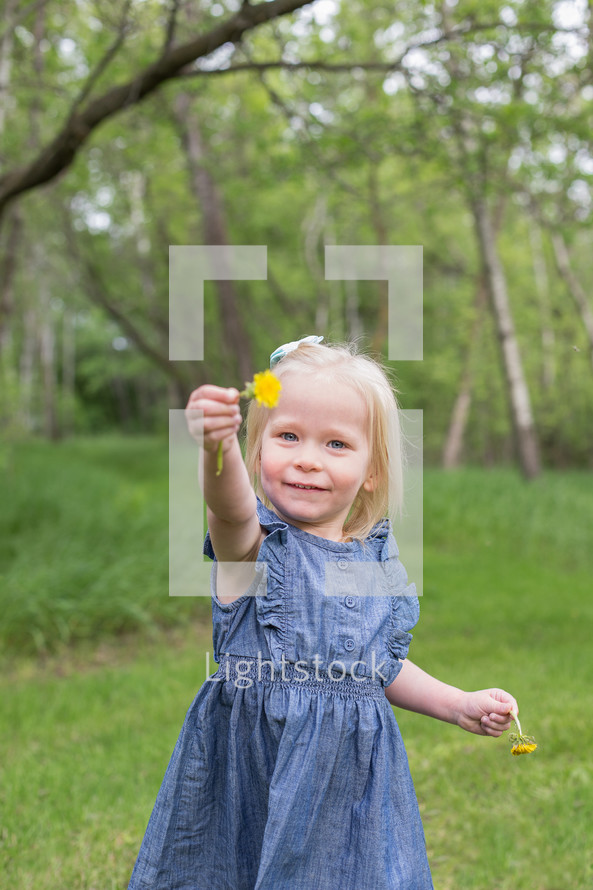 a little girl holding a dandelion 