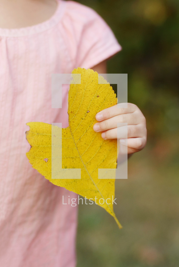 A little girl in a pink dress holding a bright yellow leaf.
