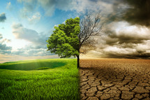 A picture of life and plenty on the left side, but drought and death on the right side.