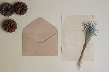 envelope, paper, flowers, and pines cones 