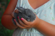 a little girl holding a baby bunny 