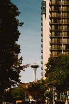 Profile of the Warwick Hotel and Space Needle through the trees in Seattle, Washington.