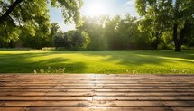 Wooden floor in the park with green grass and trees in the background