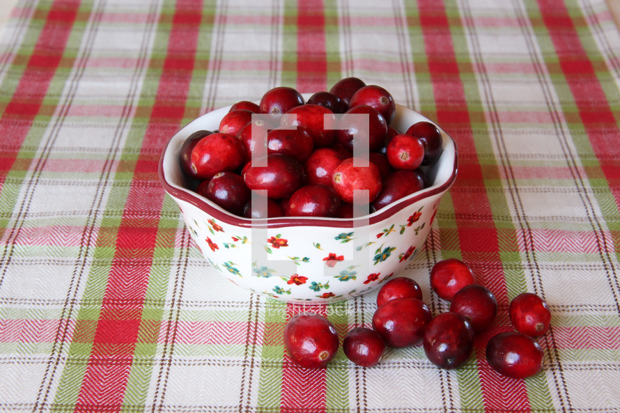 a bowl of cranberries on a plaid table cloth 