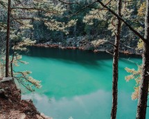 pine trees on a shore around a turquoise lake 