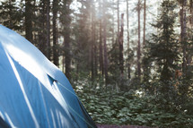 a tent in the woods 
