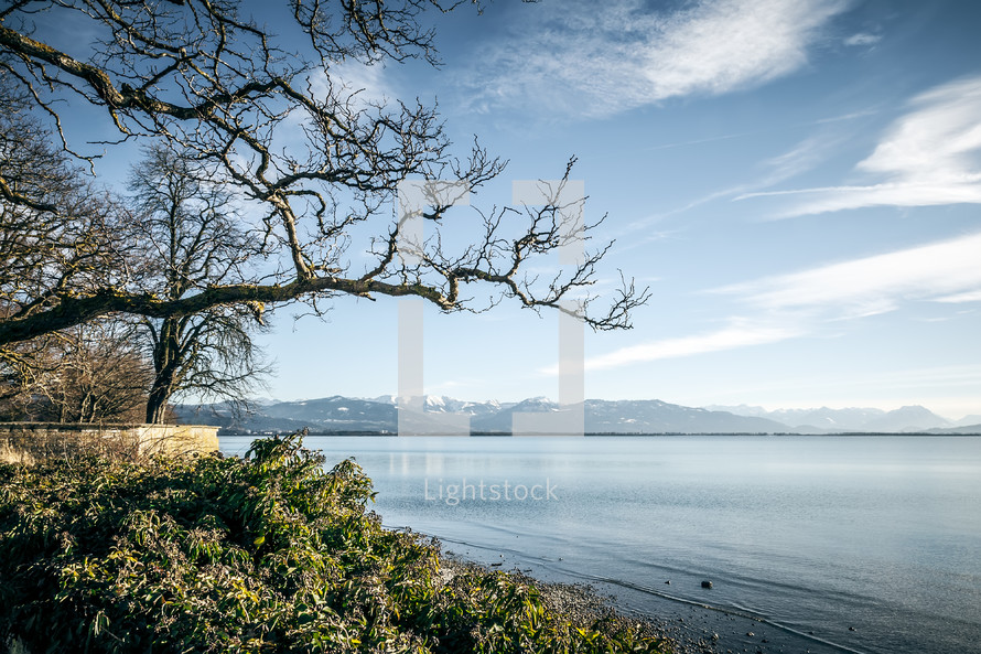 Lake Constance shoreline 