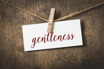 gentleness 