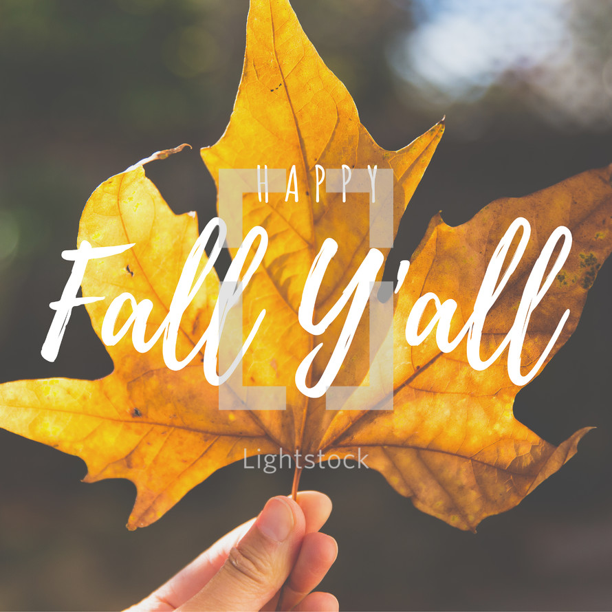 Happy Fall Ya'll 