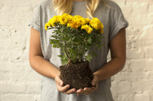 a woman holding a mum plant 
