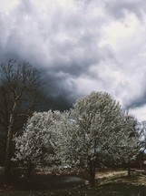 spring storms 