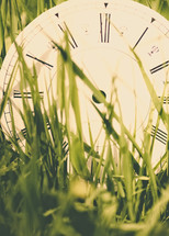 clock in grass 