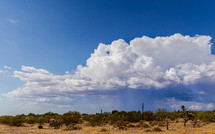 Daytime monsoon storm over the desert