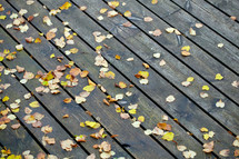 Boards with autumn leaves in the port