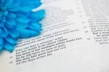 Blue flower on an open Bible.